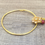 Hoop Nose ring